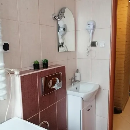 Mieszkanie Nad Popradem Inpiw03 Piwniczna-Zdroj Exterior photo